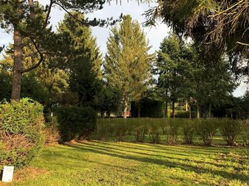 Pitch shaded by trees