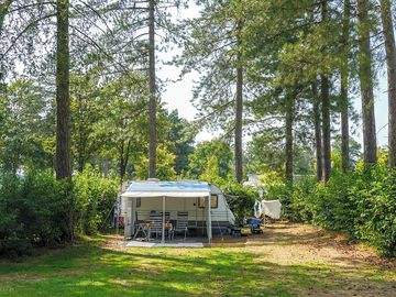 Pitches between the trees