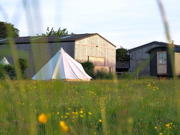 View of the site