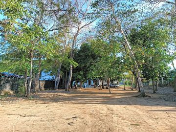 Around the site