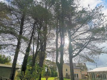 When the sun finally appeared on the last day of our stay
