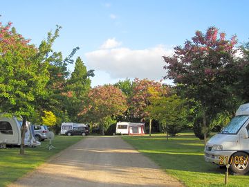 Spacious pitches separated by trees