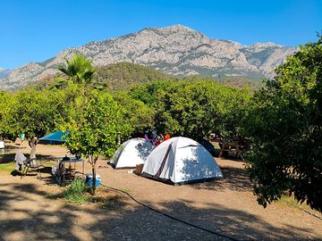 Tent pitches