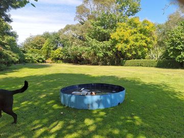 View of the site; dogs are welcome