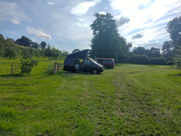 Pitch by the cider apple orchard