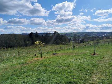 Views of Blagdon Lake