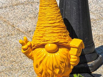 Meet norbet the gnome