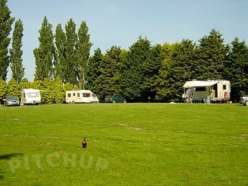 Well Spaced Site
