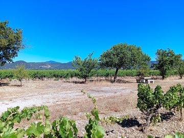 Pitches with vineyard and mountain views