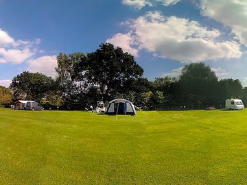 The site