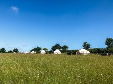 Glamping area