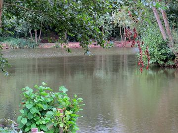 Fishing at the specimen pool