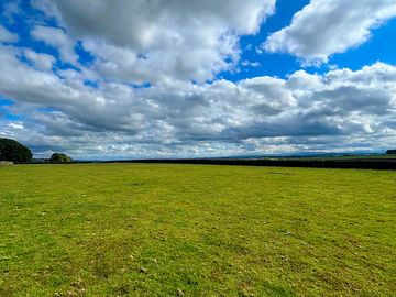 Neatly mown field