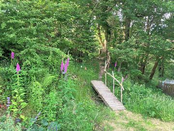 Wild flowers and woodland walks around the site
