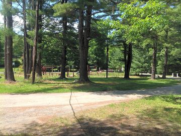 Open areas