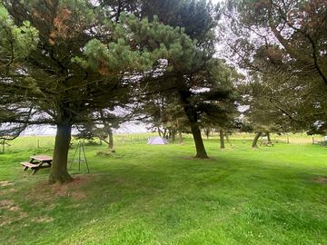 Camping area