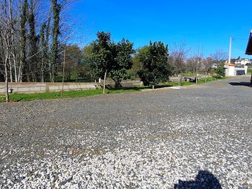 The site