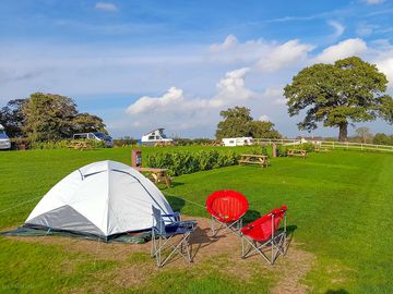 Grass pitches on site