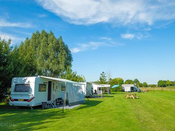 Grass pitches sheltered by trees