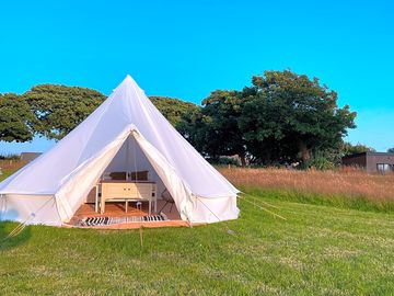 Cosy furnished bell tent sheltered by trees