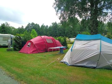 Grass pitches among the trees