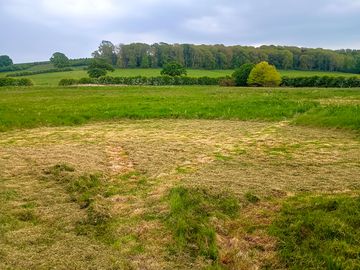 freshly mown large grass pitch