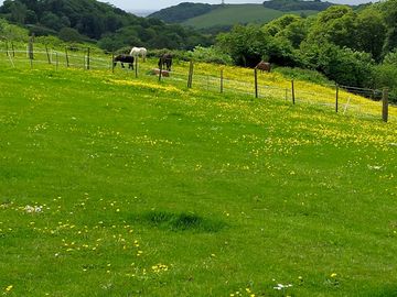 Green views