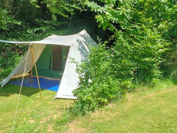 Tent tucked away between the trees