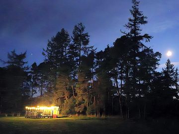 Solar festoon lighting