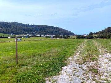 Around the site