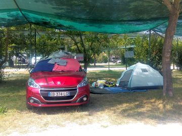 Pitches in the shade