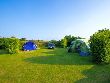 Electric grass pitches