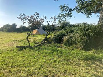 Our first customer under the oak