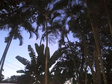 The site at dusk