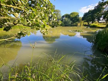 Fishing lake