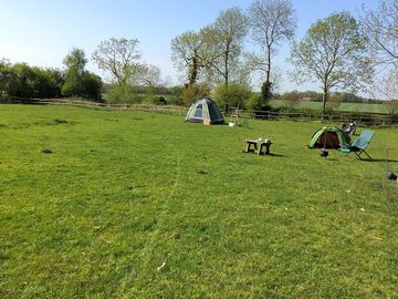 Spacious pitches