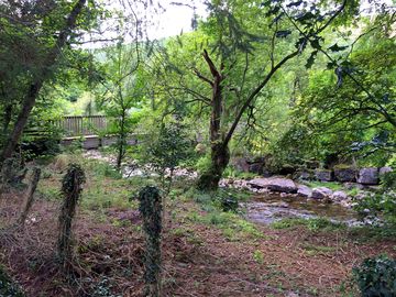 The campsite