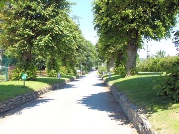 Path to the pitches