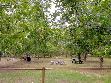 Spacious pitches