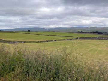 Local scenery