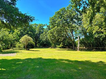 Summer view