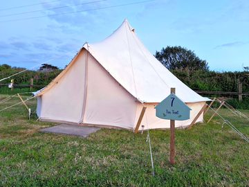 Grass pitched tent