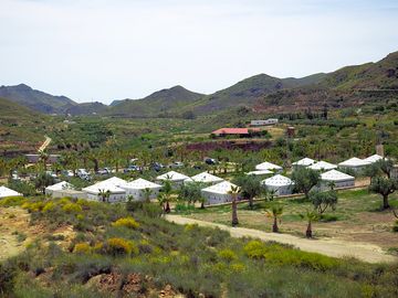 Hayma area