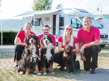 Dog friendly site