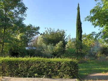 exemple d'emplacement mi ombre mi soleil.