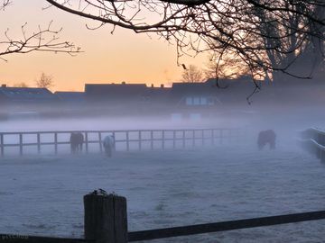 Morning view on site