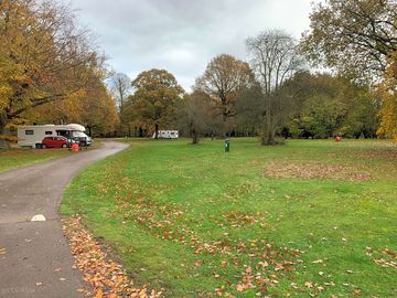 Site view