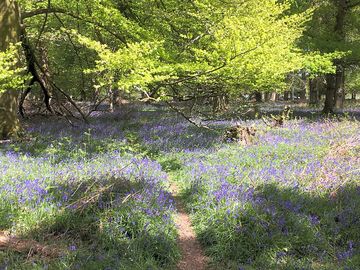 Pack a picnic and set off on foot or by bike to explore the new forest