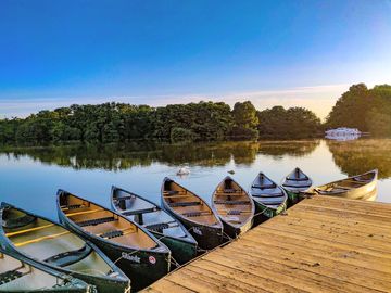 Canoes by wendy impett