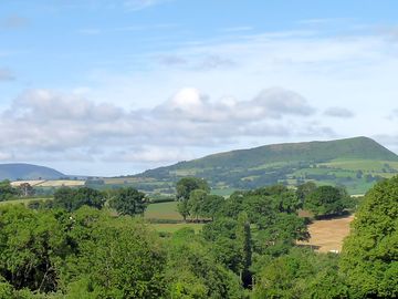 View from site